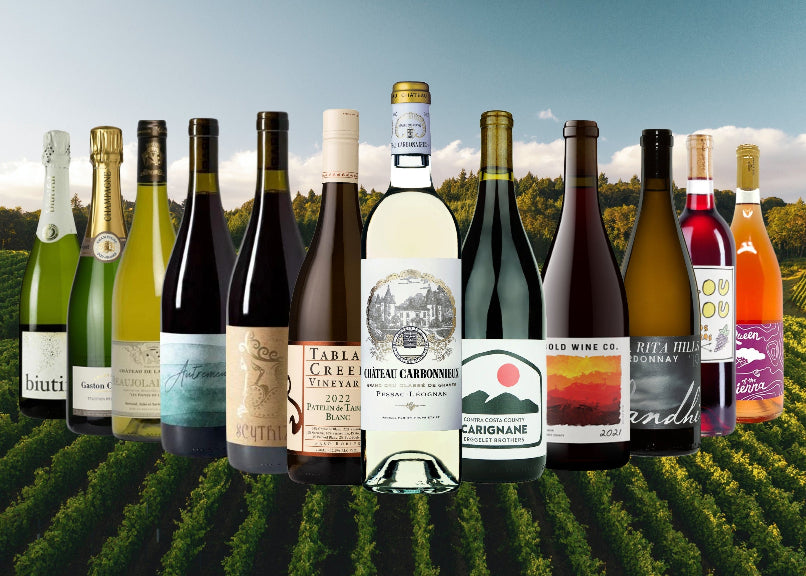 Alcohol Auto Harvest Wine Chasing Harvest Pinot Noir 2022 750 Ml