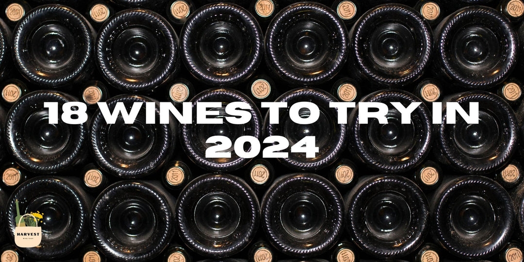 18 Wines to Try in 2024 - Harvest Wine Shop