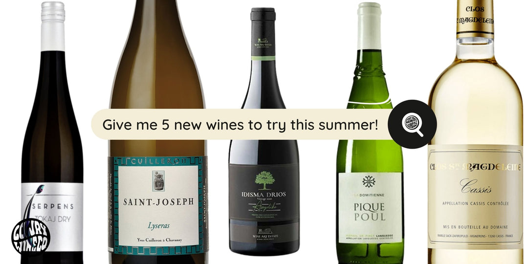 5 New Wines to Try this Summer! - Harvest Wine Shop