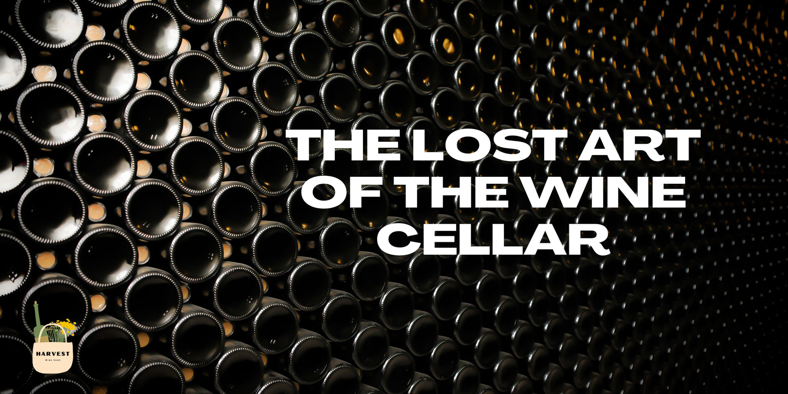 The Lost Art of the Wine Cellar