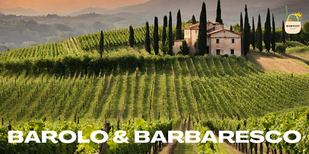 Barolo & Barbaresco