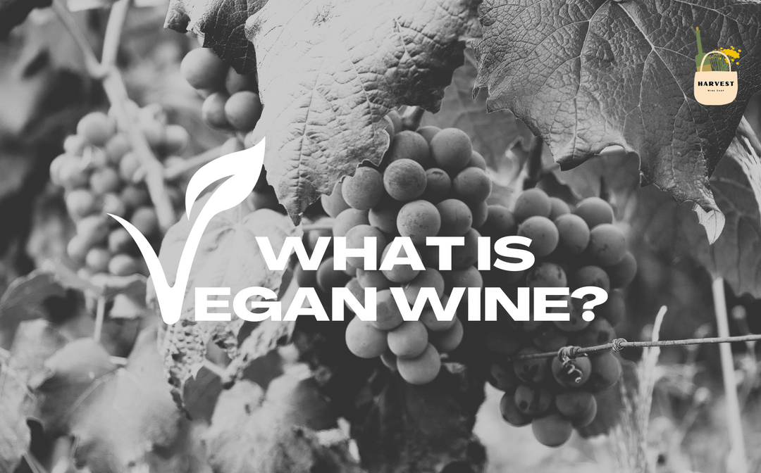 What is Vegan Wine?