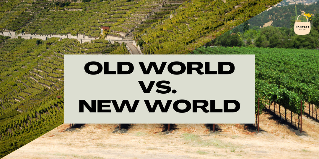 Old World vs. New World — Wine 101 Course (Week 5 of 8)