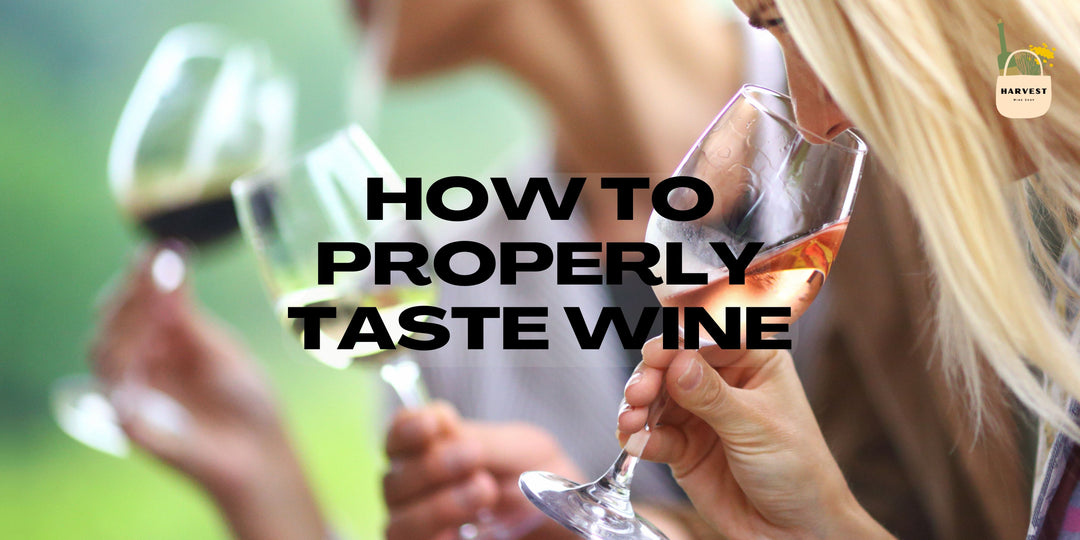 How to Properly Taste Wine (Wine 101 Course Week 7 of 8)