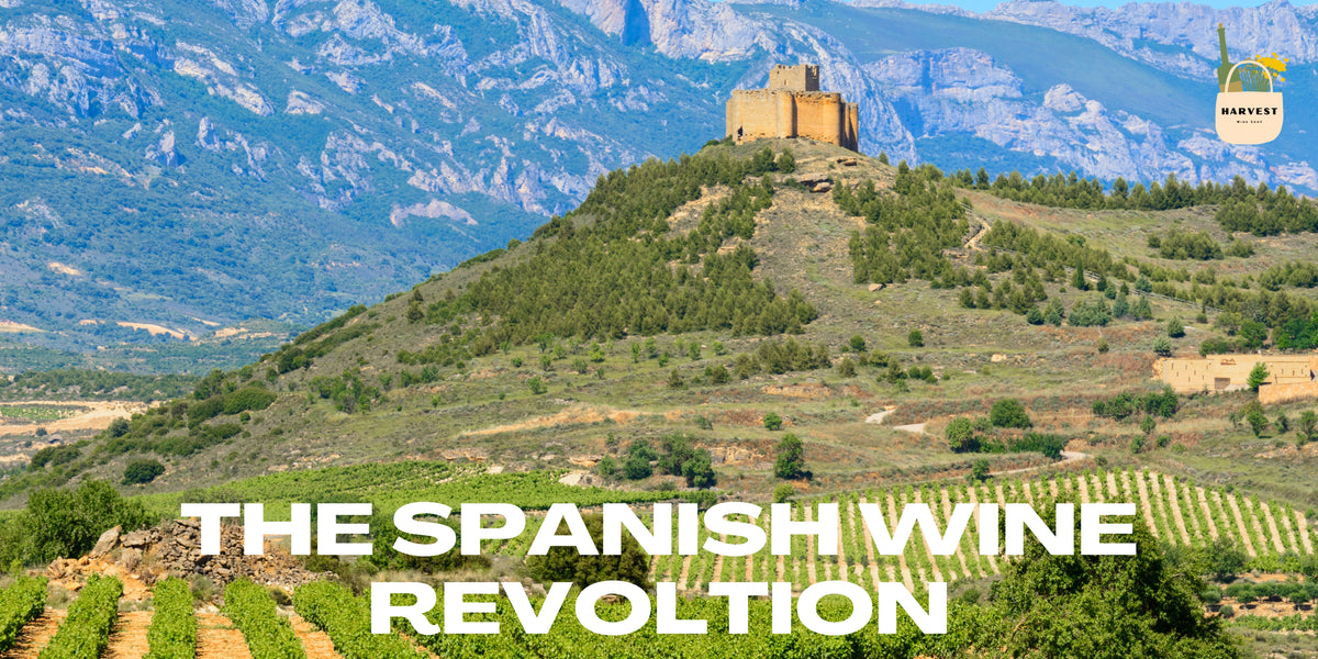 The Spanish Wine Revolution
