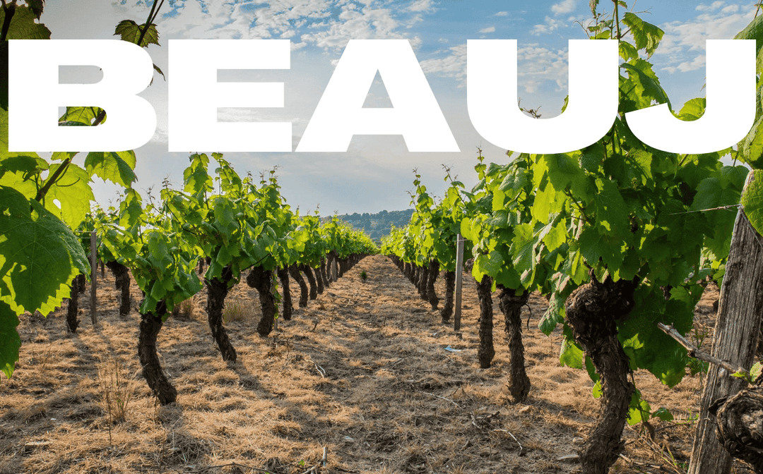 Beaujolais: An In-Depth Exploration of Terroir, Tradition, and Trends