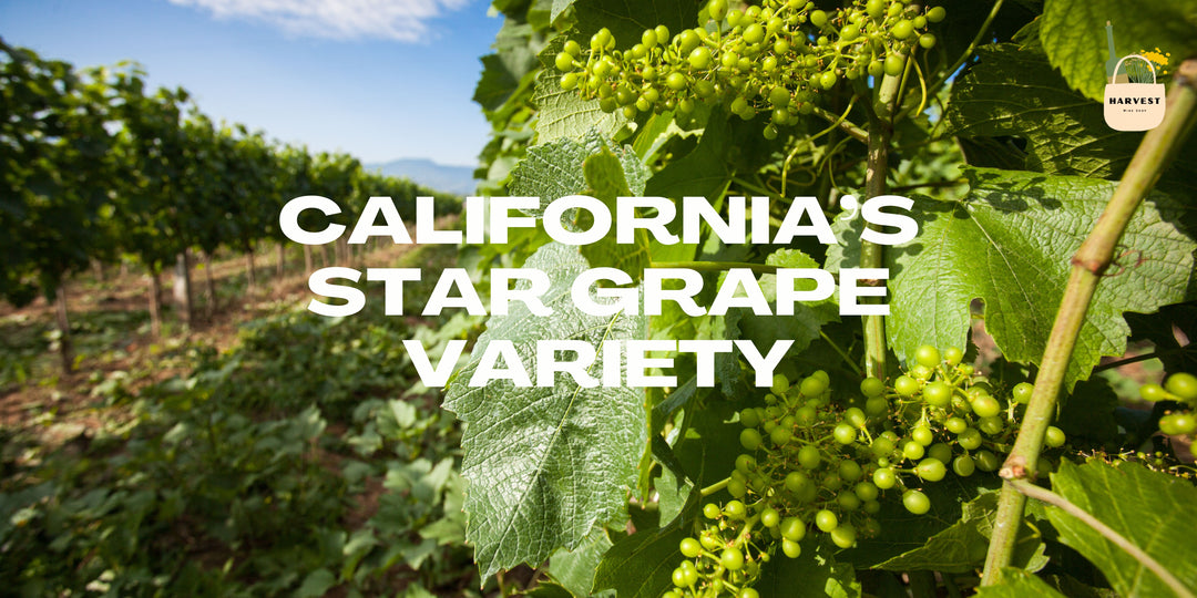 What Grape is California Known For?