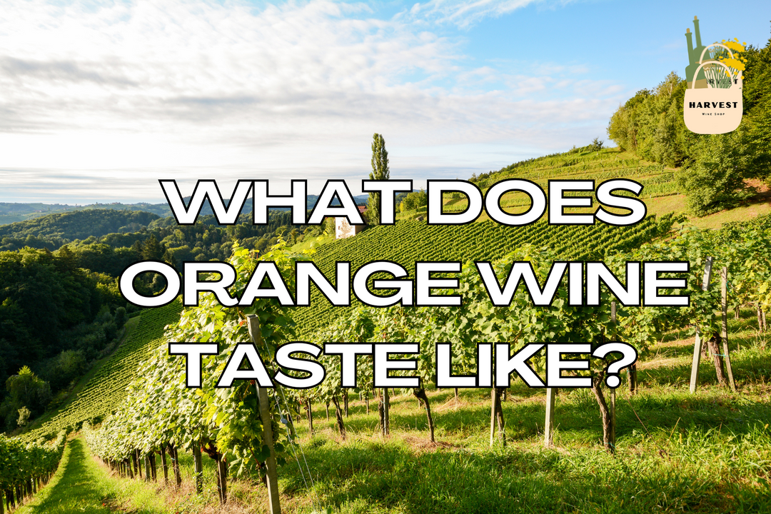 What Does Orange Wine Taste Like & How Is It Made?