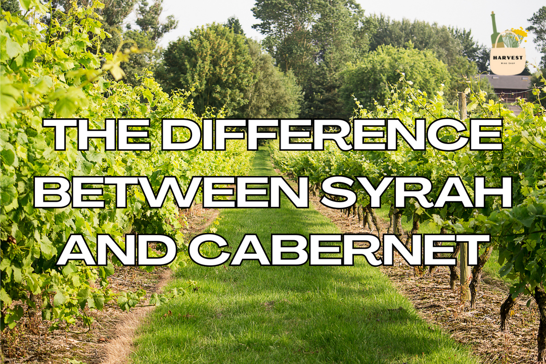 What Are the Main Differences Between Syrah & Cabernet?