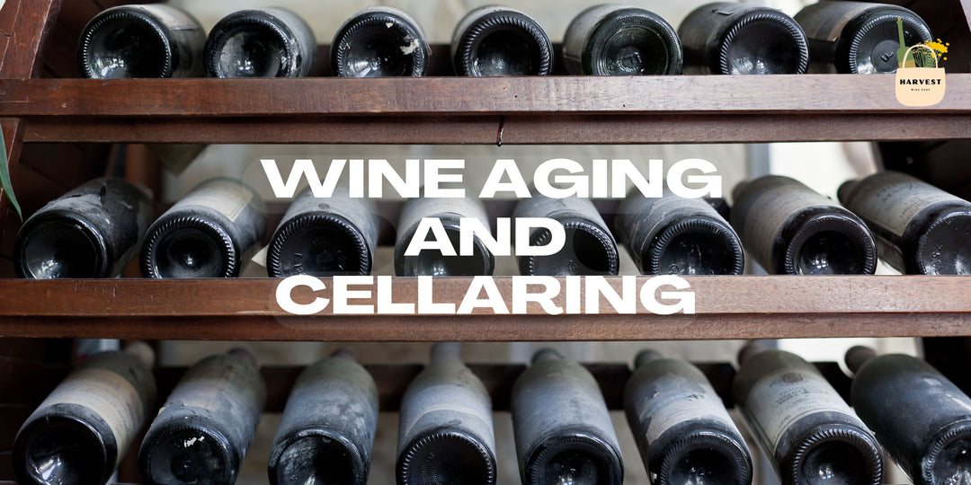 Wine Aging and Cellaring - Wine 101 Course (Week 6 of 8)