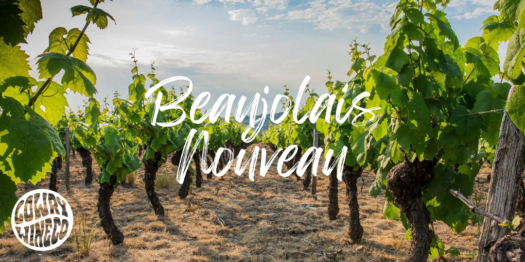 Beaujolais Nouveau - Harvest Wine Shop