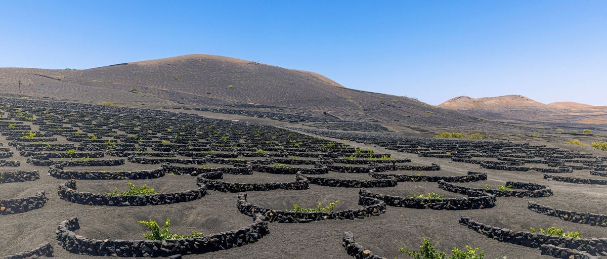 Canary Islands
