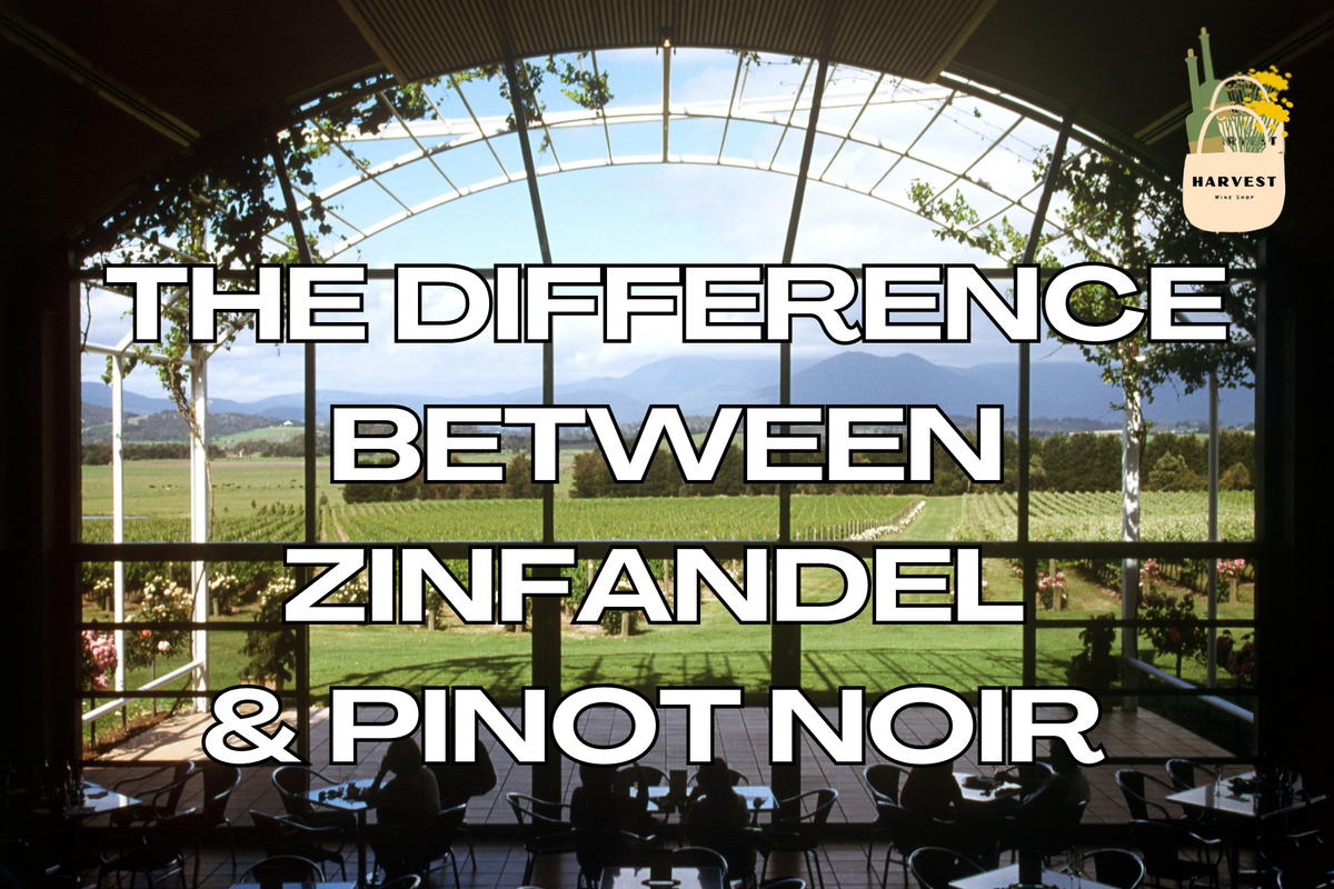 Exploring the Difference Between Zinfandel and Pinot Noir