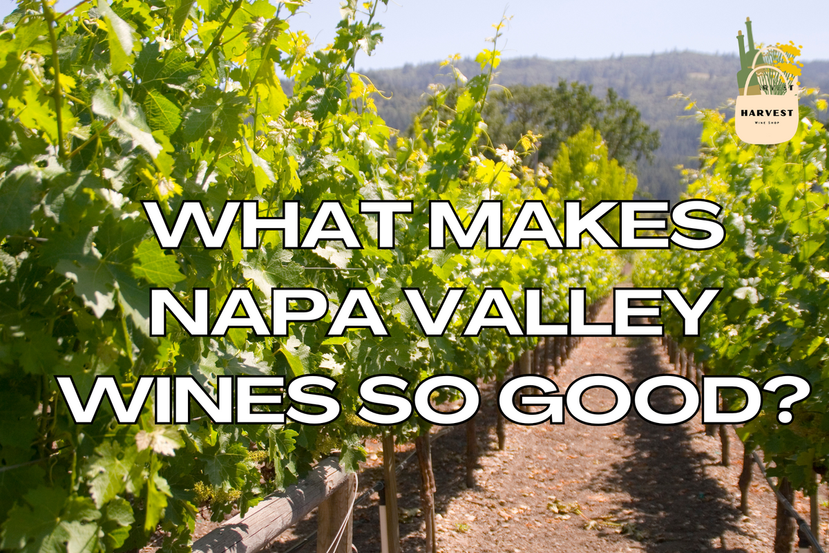 What Makes Napa Valley Wines So Good?
