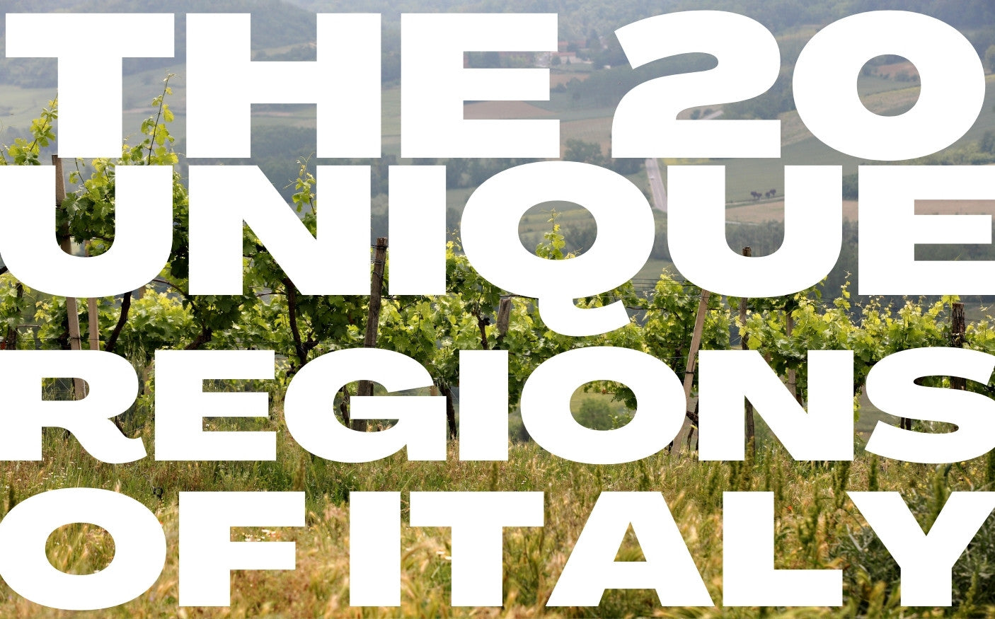 The 20 Regions of Italy and Their Wines
