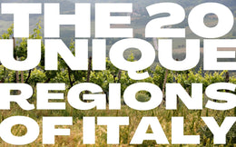 The 20 Regions of Italy and Their Wines