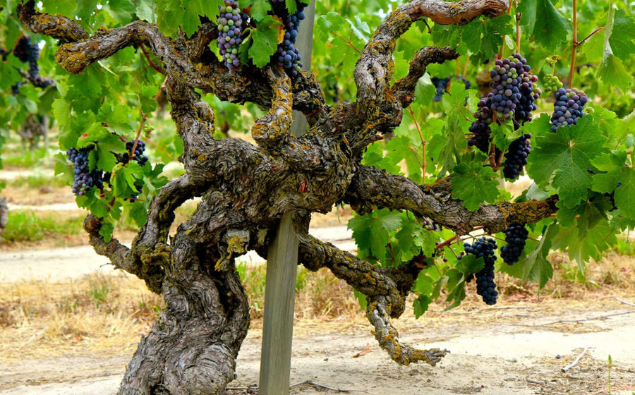 What We Read This Week (04/27/25)