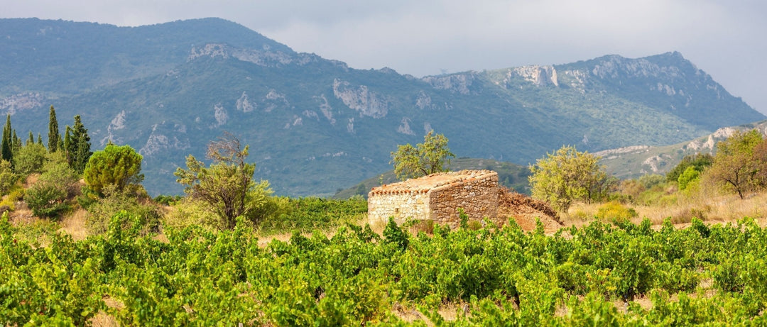 Languedoc-Roussillon