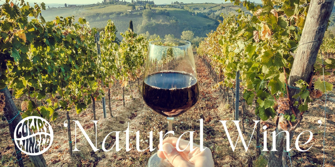 Natural Wines - Harvest Wine Shop