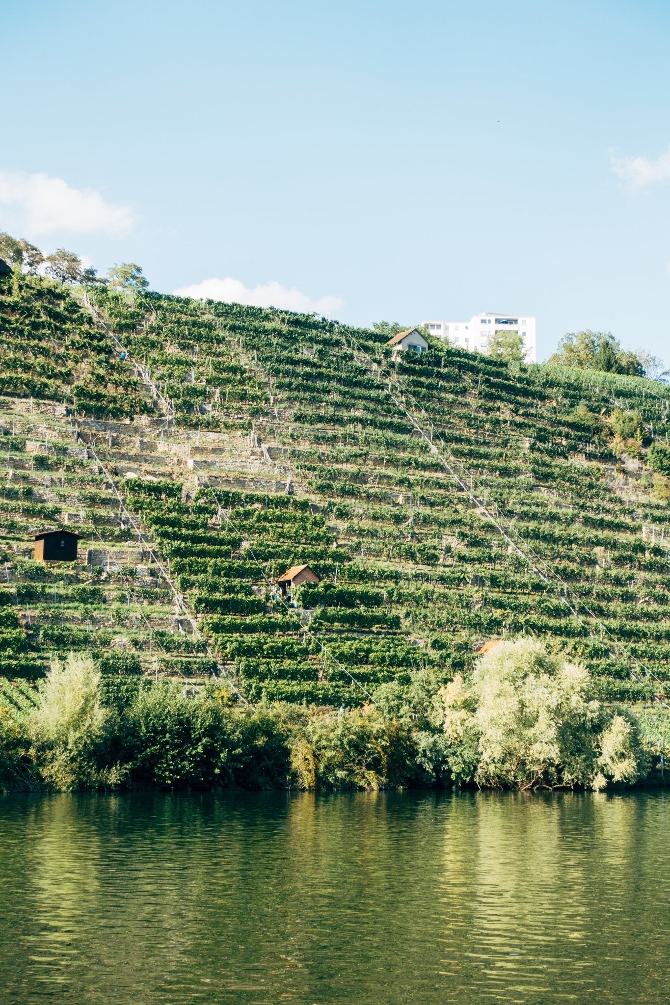Our Philosophy - Harvest Wine Shop