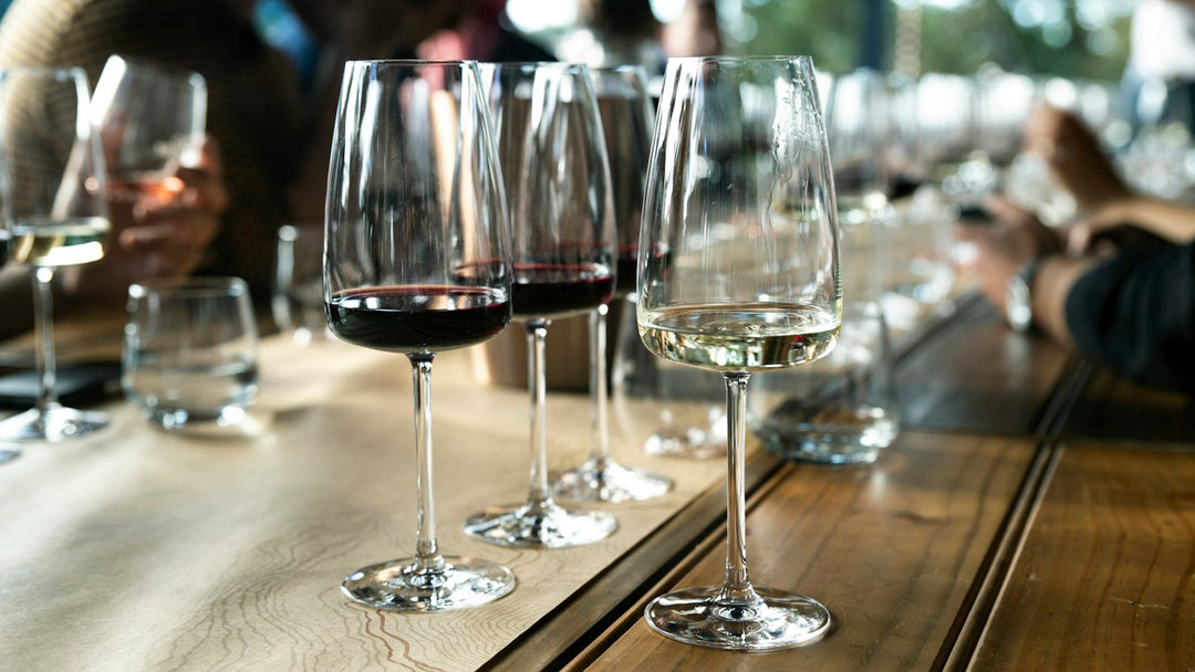 Glasses of red and white wine lined up on a table for a tasting