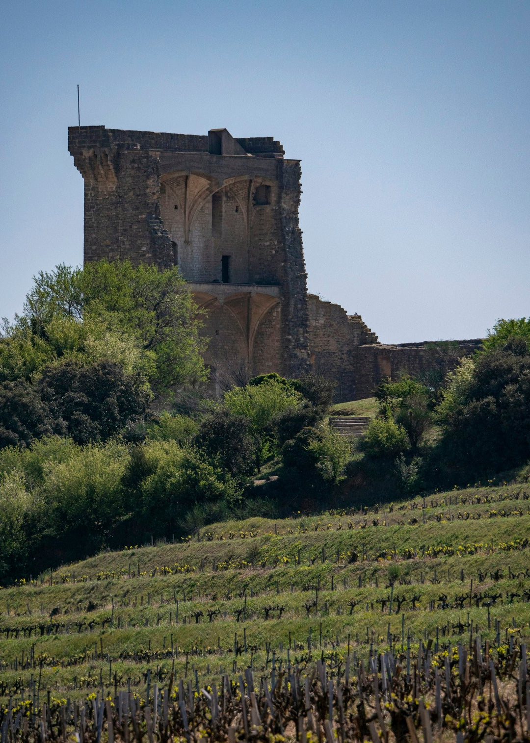 The ruined papal castle above the vineyards of Châteauneuf-du-Pape