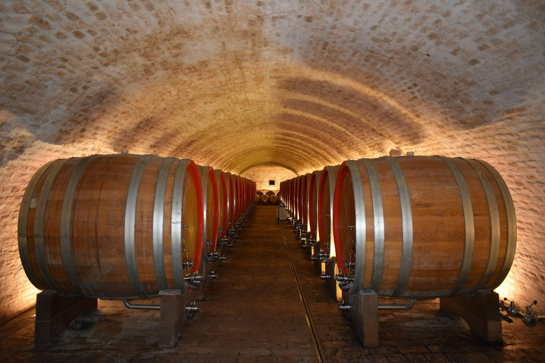 Oak barrels in a vaulted wine cellar