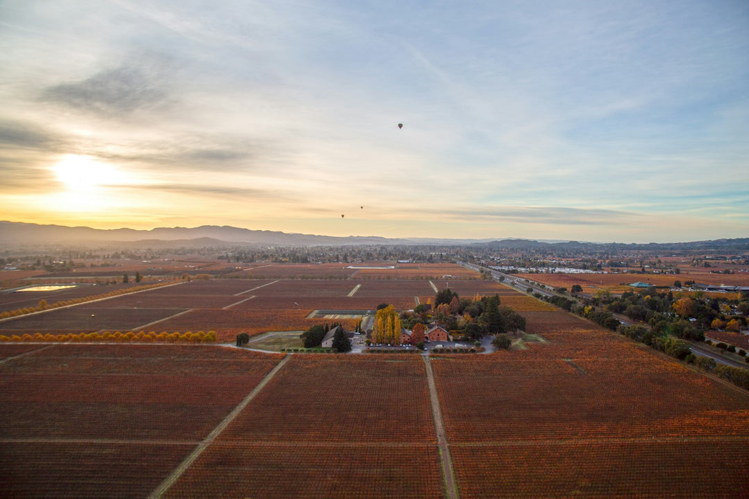 A hot-air balloon at sunrise over the Trefethen vineyards in Napa Valley