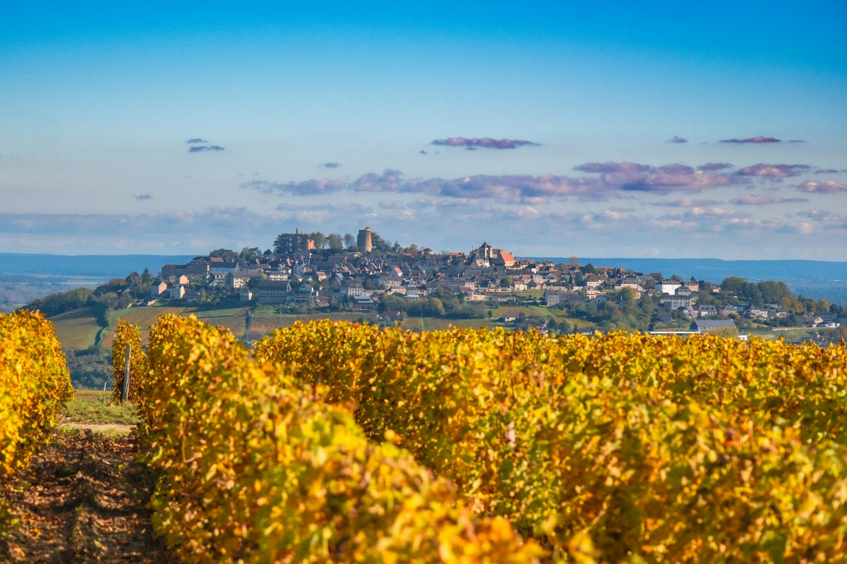 The hilltop town of Sancerre above autumn vineyards in the Loire Valley