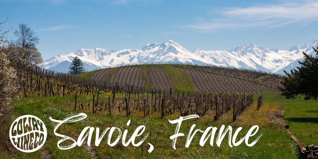 Savoie: The wine region you've never heard of - Harvest Wine Shop