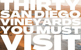 30 San Diego Vineyards You Must Visit (2025)