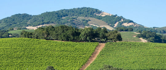 Sonoma Valley
