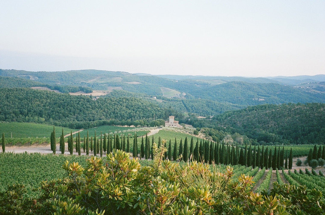 Two is Better than One: Chianti and Chianti Classico DOCGs - Harvest Wine Shop