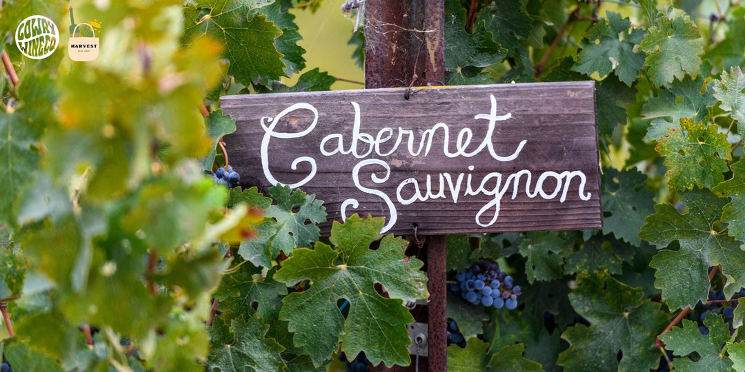 Varietal Series: Cabernet Sauvignon - Harvest Wine Shop