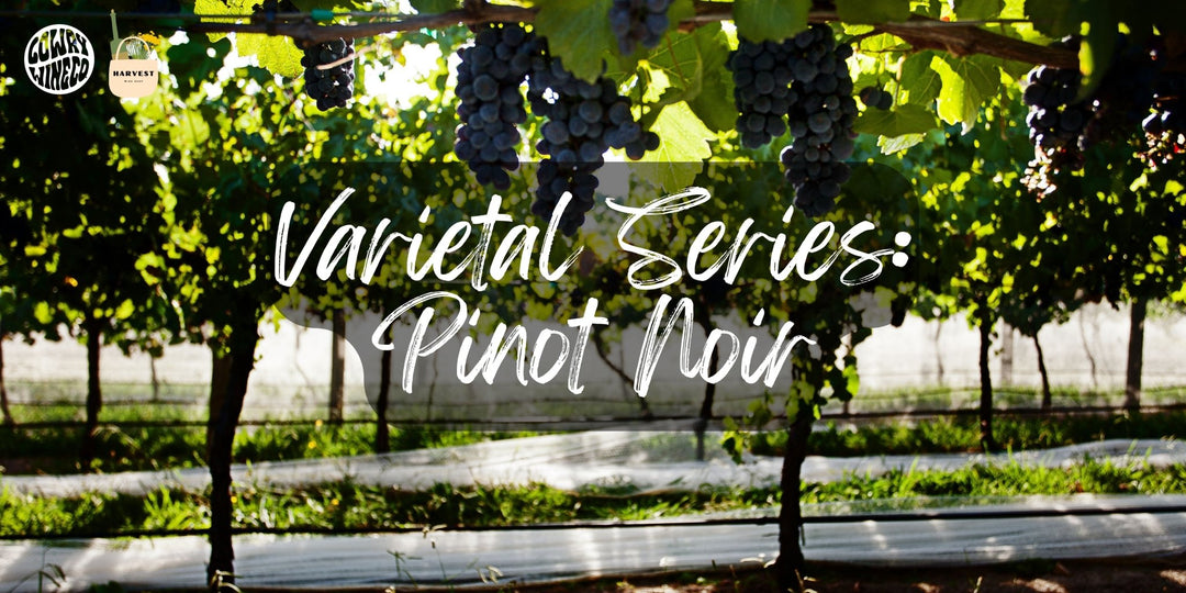 Varietal Series: Pinot Noir - Harvest Wine Shop