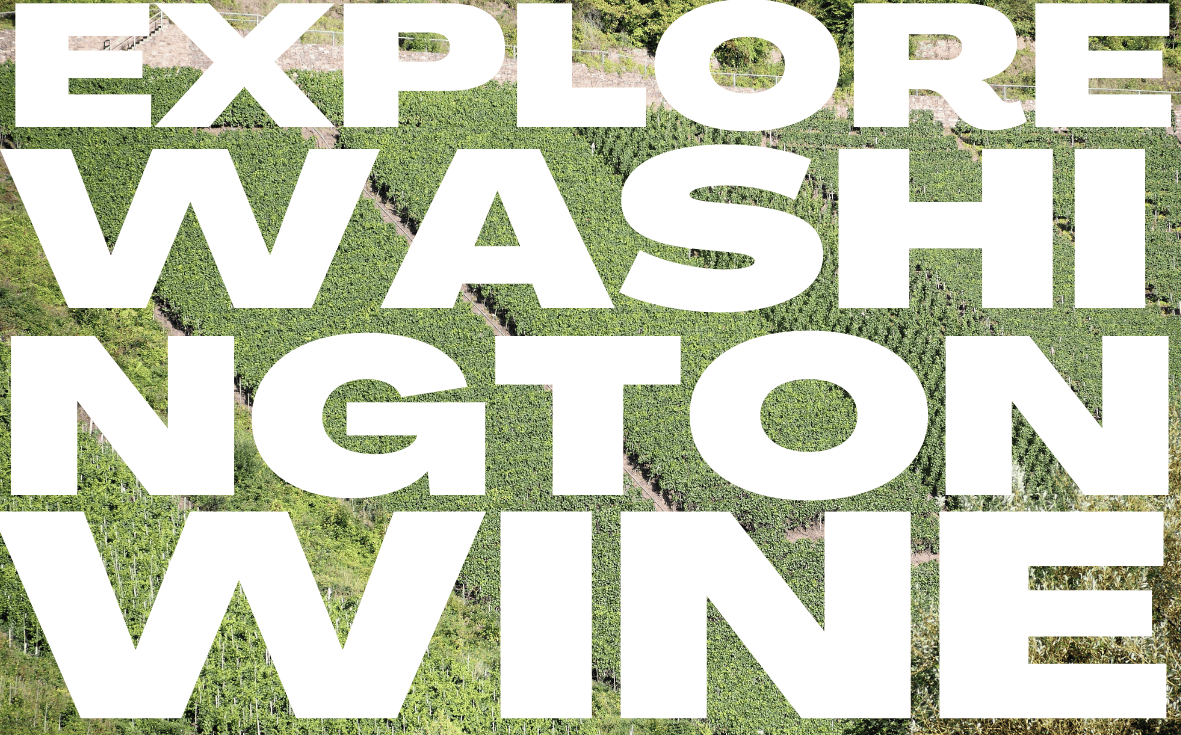Explore Washington State Wine