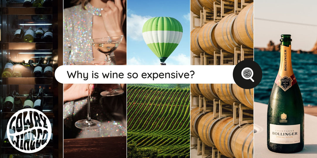 Why is Wine so Expensive? - Harvest Wine Shop