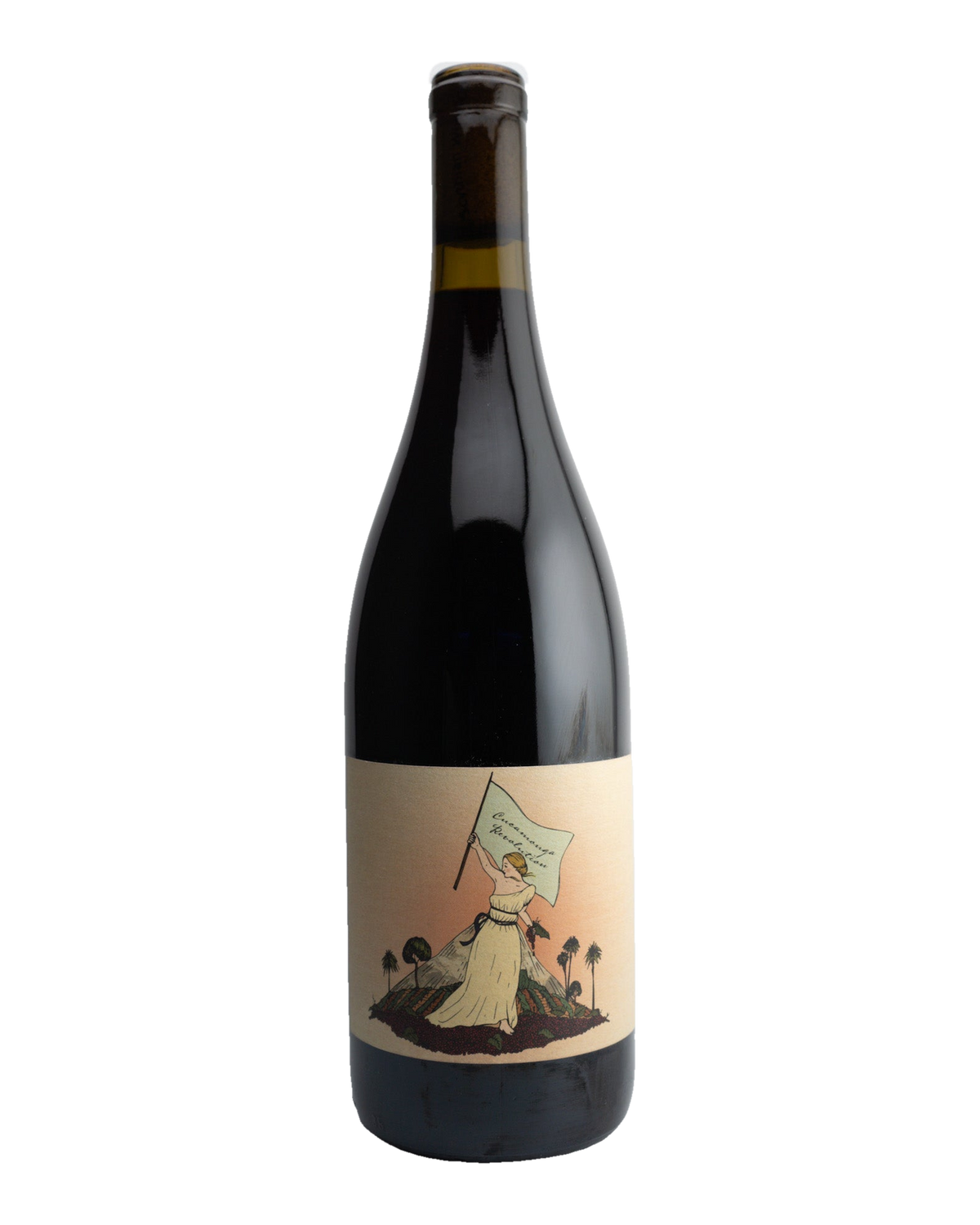 A bottle of 2022 Scythians 'Revolution' wine with a label featuring an illustration of a person under a parachute, indicating the vintage and brand.