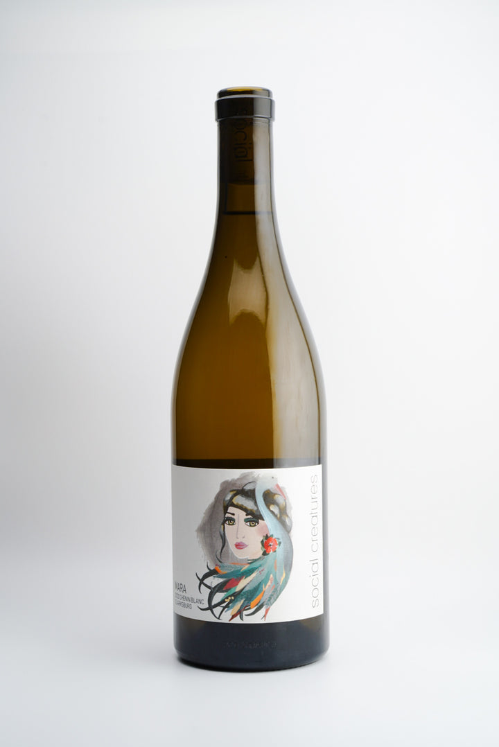 A bottle of 2022 Social Creatures &