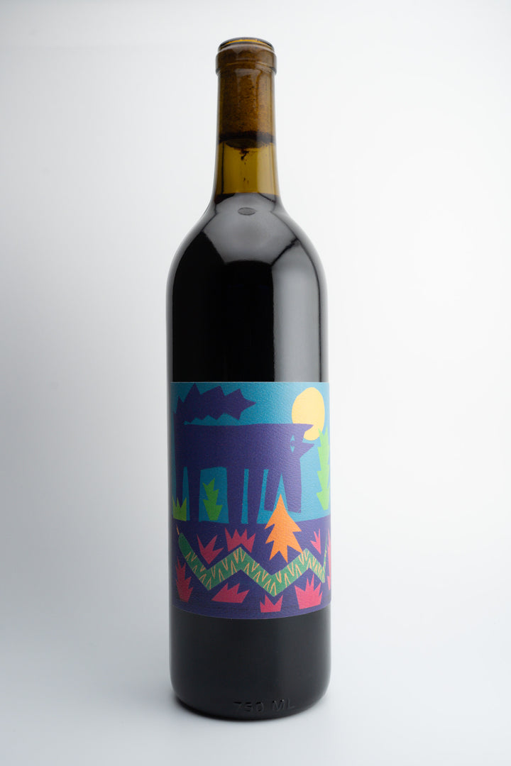 A bottle of 2022 Vinos Pijoan &