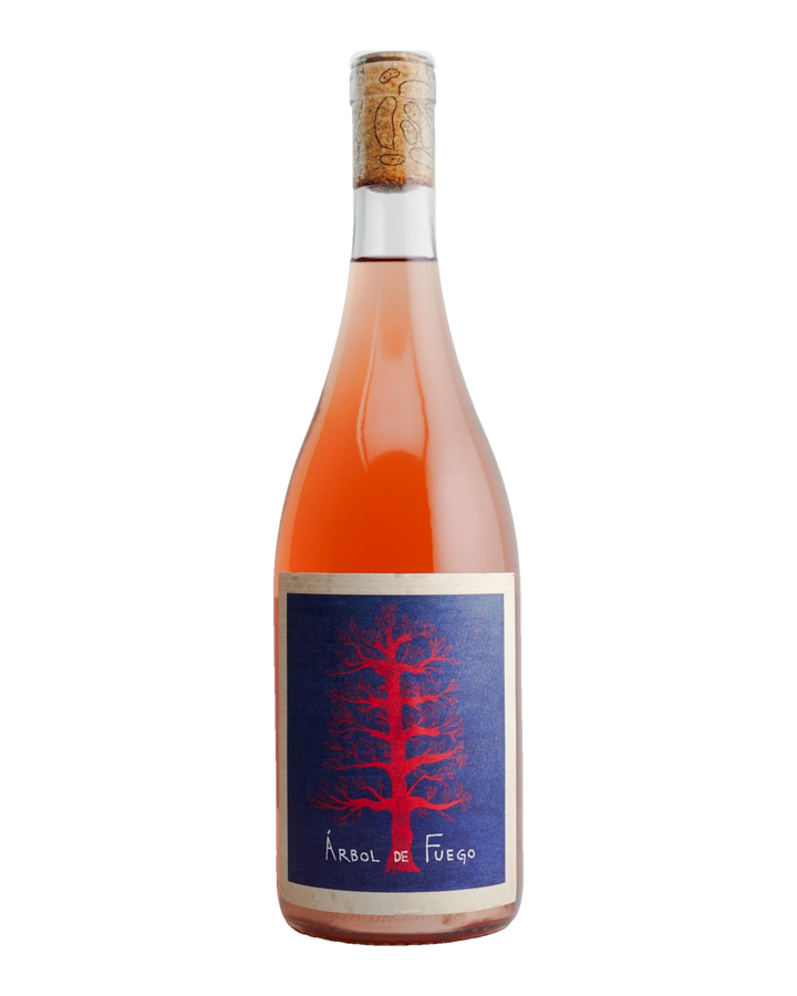 A bottle of 2023 Vinos Pijoan &