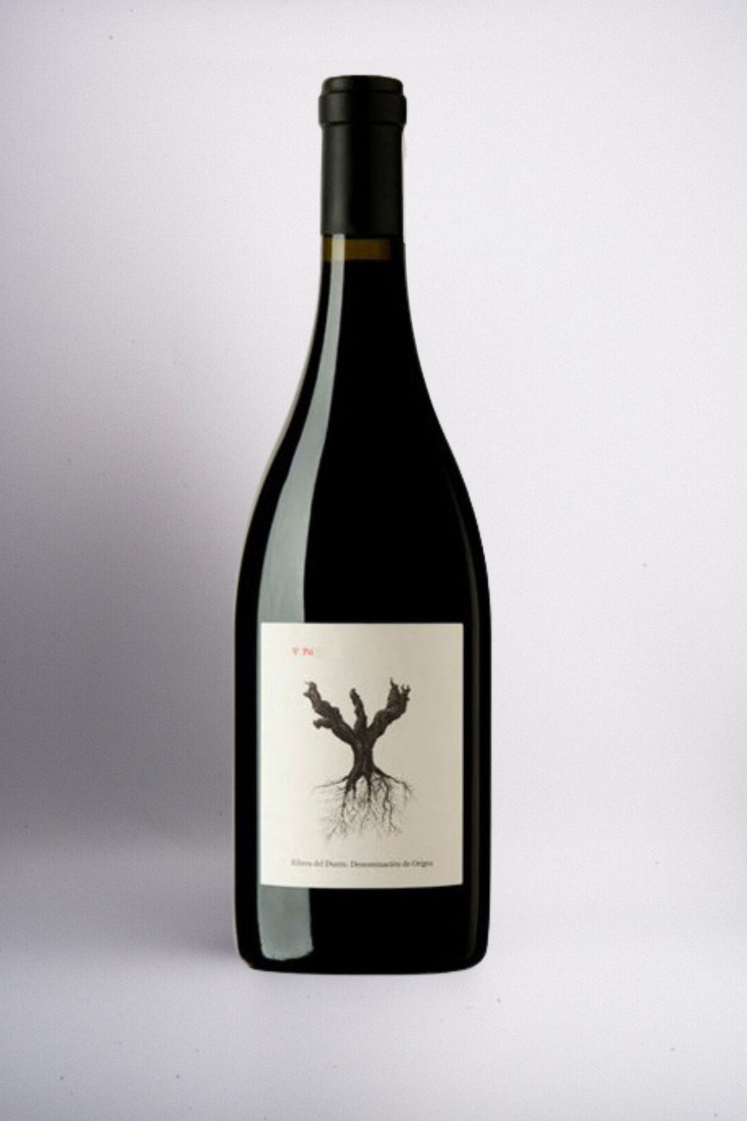 Dominio De Pingus 'Psi', Ribera del Duero, Spain 2022 (Magnum)