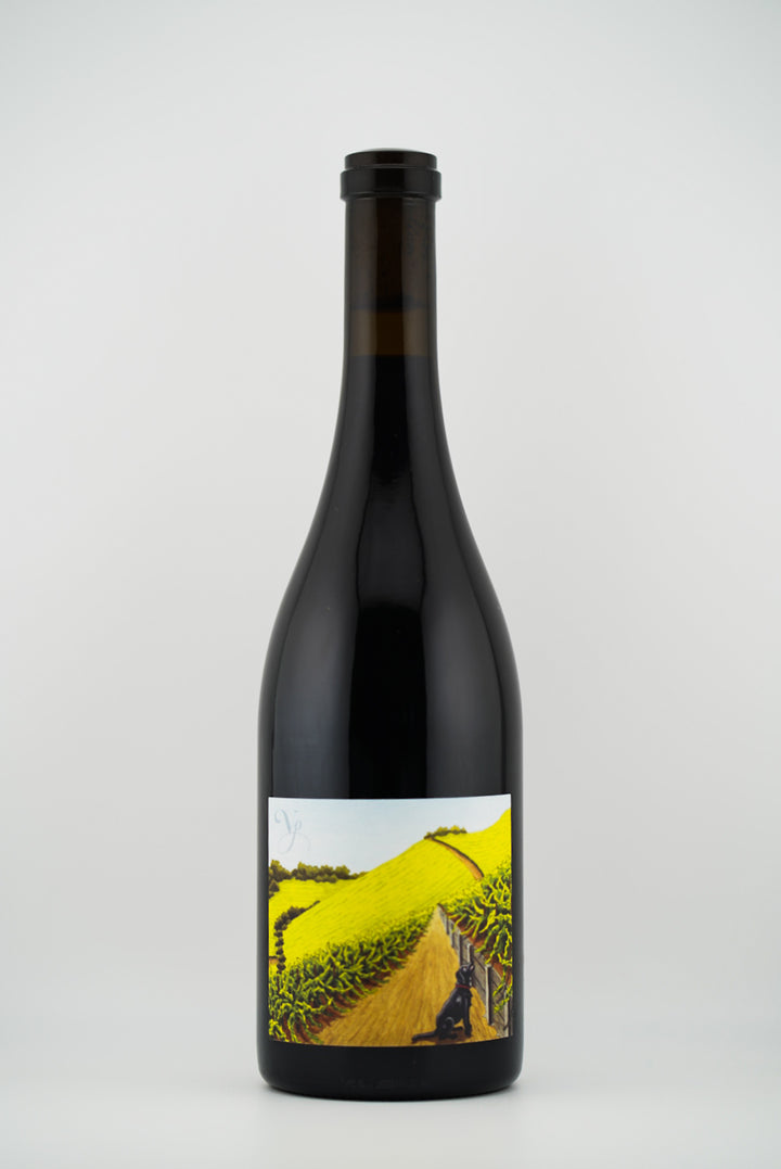 Violet's Paradise Grenache, Monte Rosso Vineyard, Sonoma Valley, California 2023