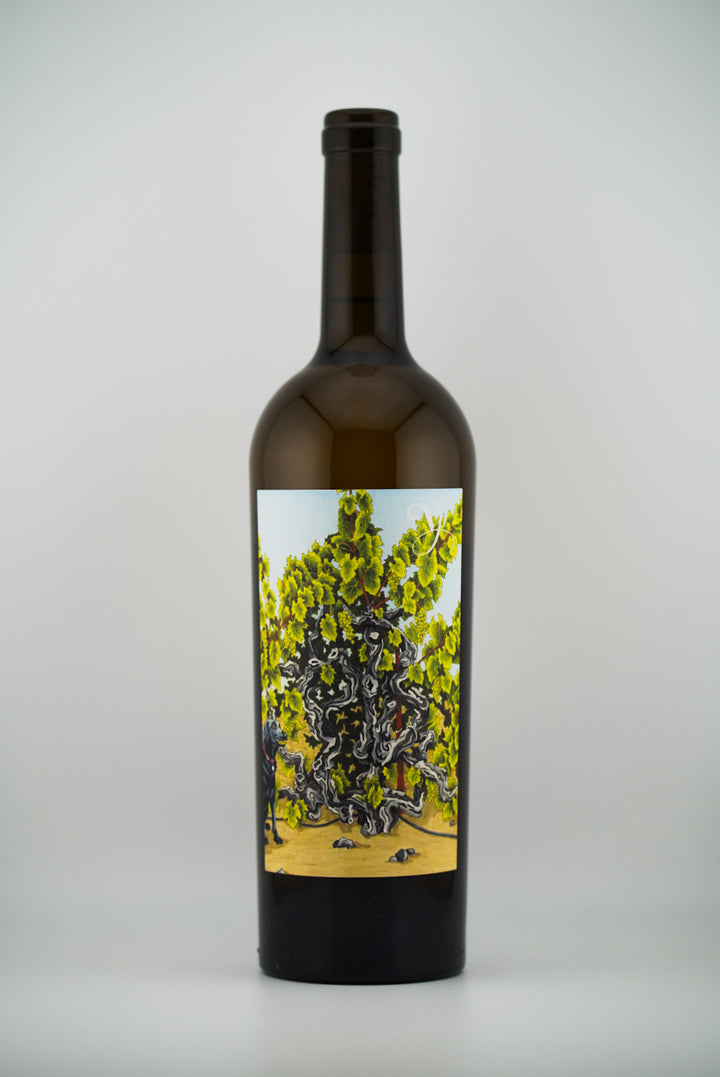 Violet&