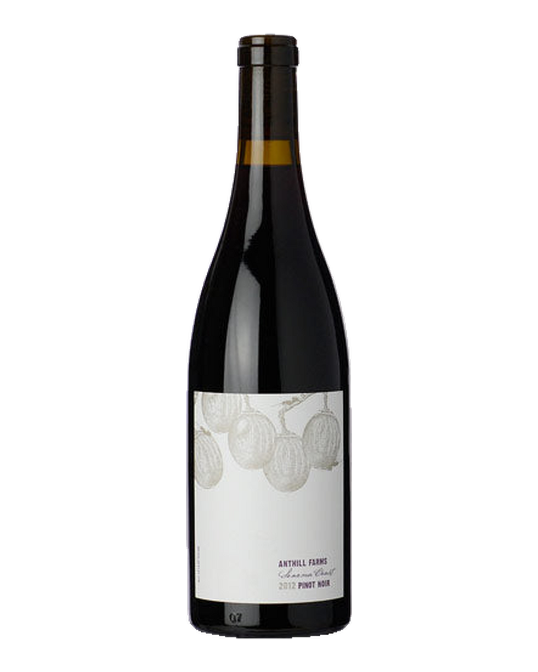 Bottle of Anthill Farms Pinot Noir, Sonoma Coast, California 2024
