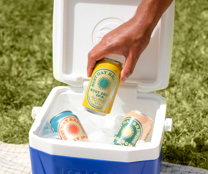 Best Day Brewing Non Alcoholic West Coast IPA 6-Pack