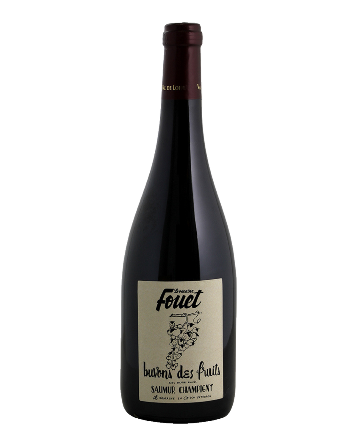 Bottle of Domaine Fouet 'Buvons des Fruits' Saumur-Champigny, Loire Valley, France 2024