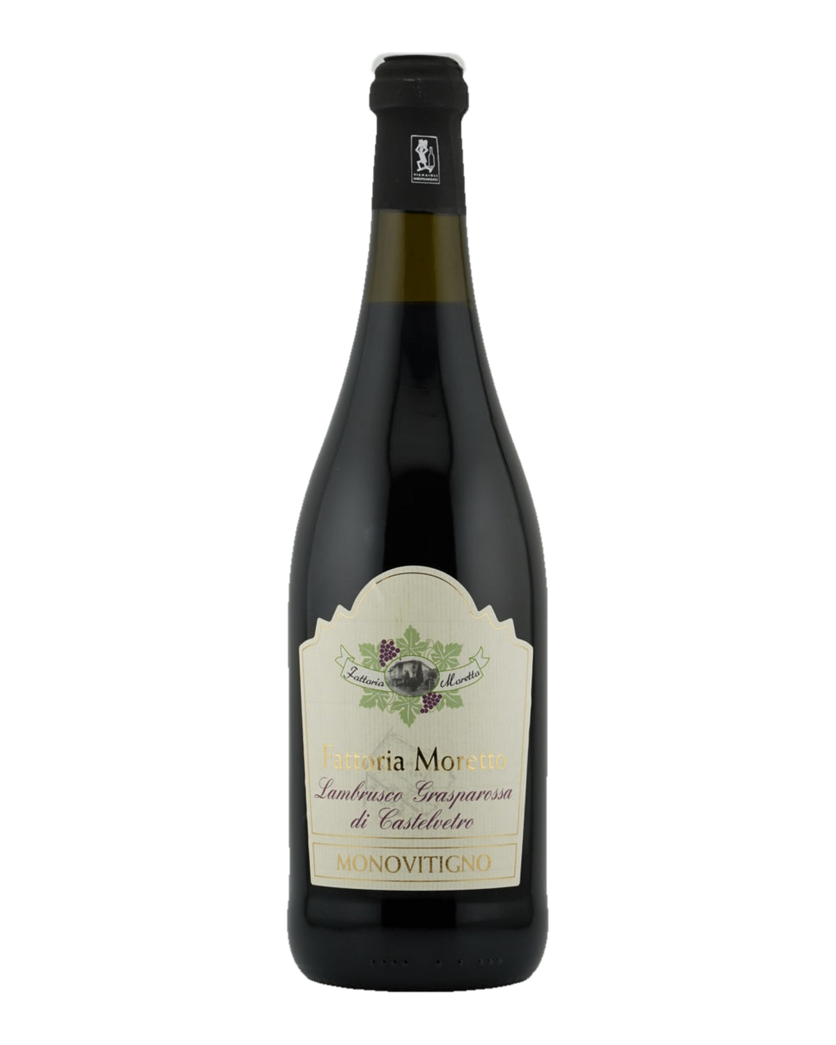 Bottle of Fattoria Moretto Lambrusco Grasparossa di Castelvetro “Monovitigno” 2024