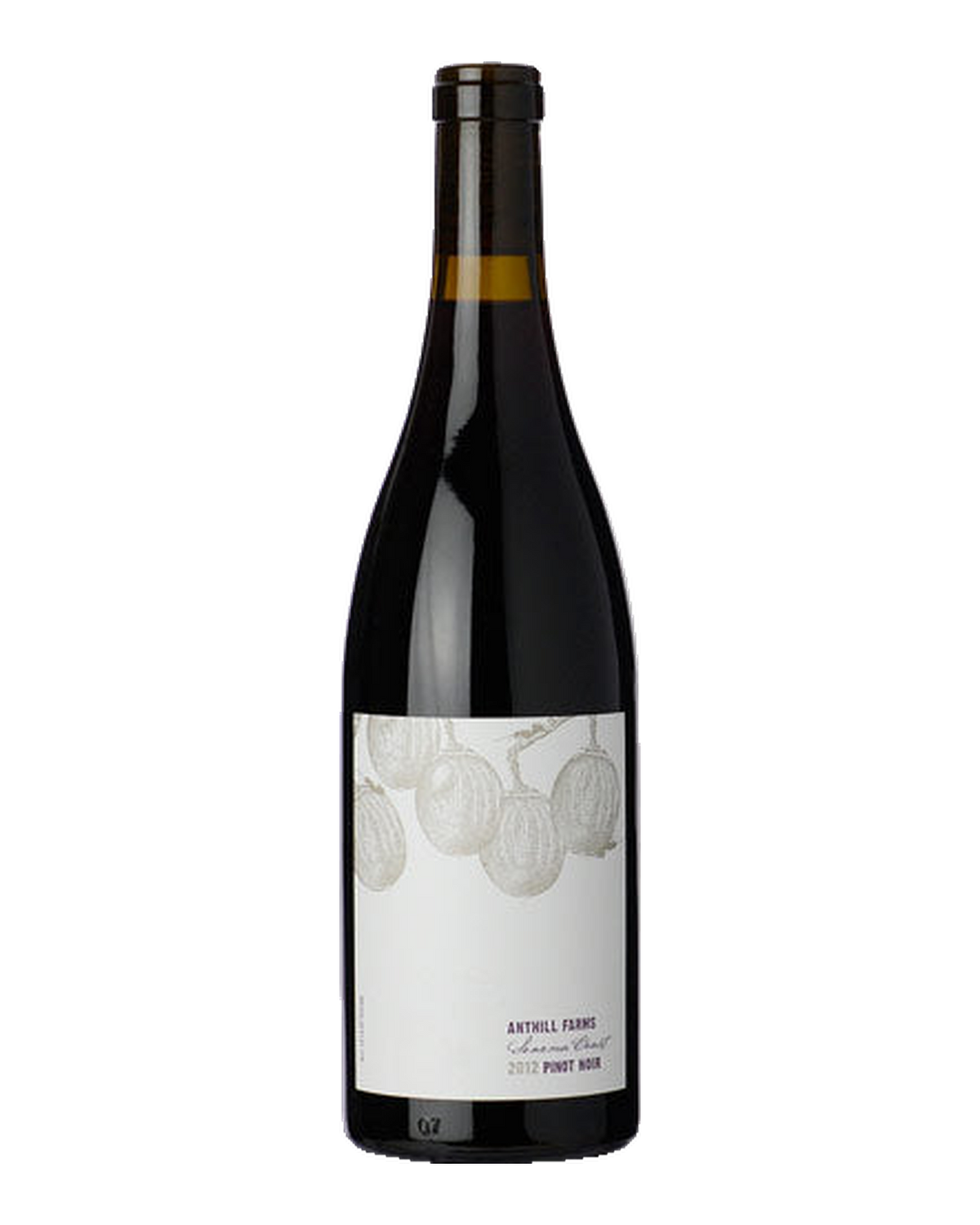 Bottle of Anthill Farms Pinot Noir, Sonoma Coast, California 2024