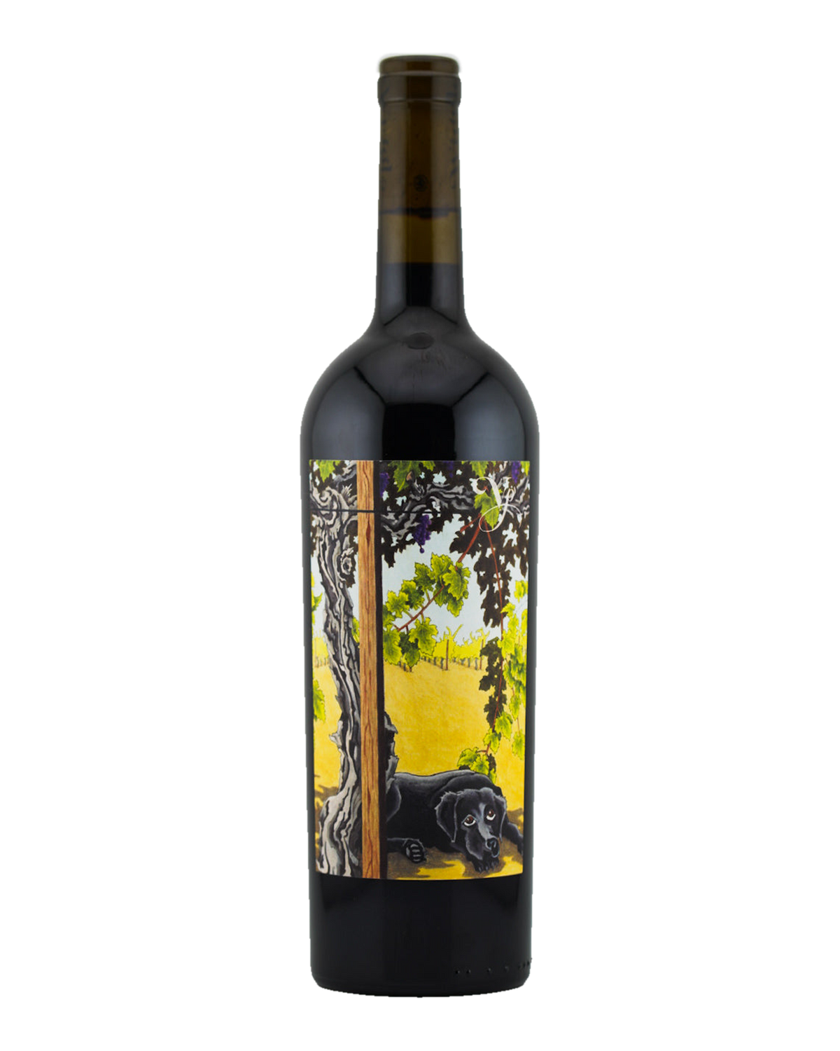 Bottle of Violet's Paradise Cabernet Sauvignon, Monte Rosso Vineyard, Sonoma Valley, California 2023